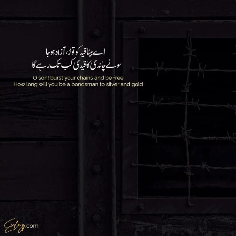 The 10 Best Rumi Poetry & Quotes in Urdu (Sufi Poetry)