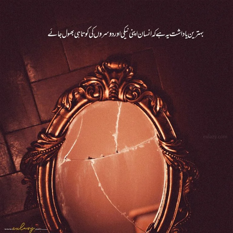 The 40 Best Urdu Quotes in Urdu Text That Make You Think