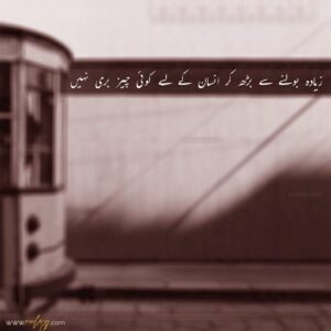 The 40 Best Urdu Quotes in Urdu Text That Make You Think