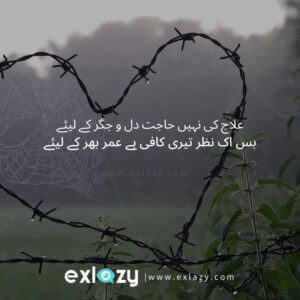 The Best Love Poetry in Urdu 2 Lines - Romantic Poetry for Her/Him