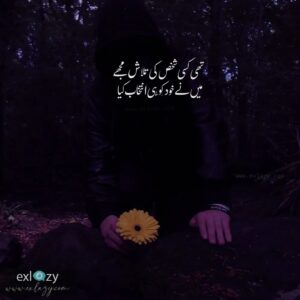 2 Line attitude poetry