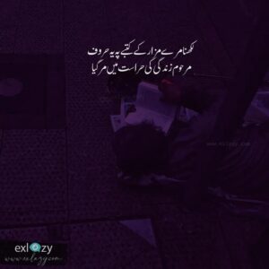 2 line life poetry in urdu