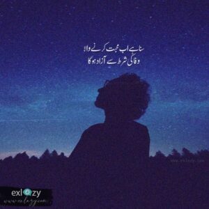 The Best 2 Line Urdu Poetry on Every Topic