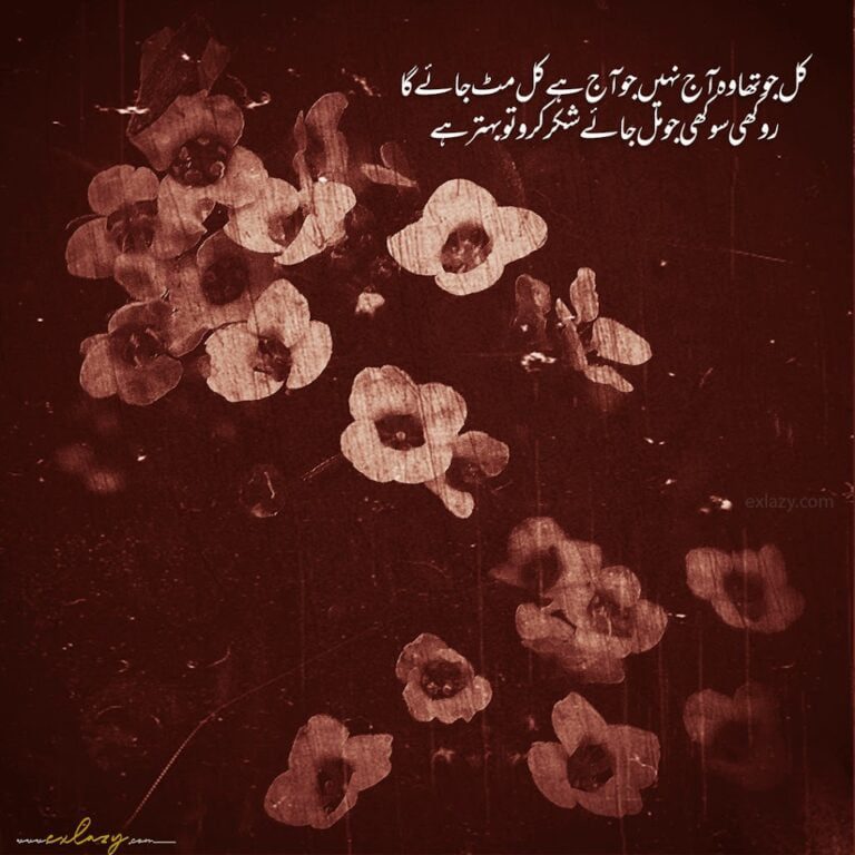 The Best Nasir Kazmi Poetry in Urdu 2 Line