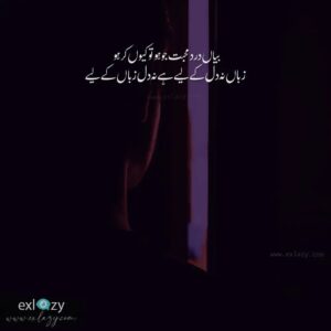 The Best 2 Line Urdu Poetry on Every Topic