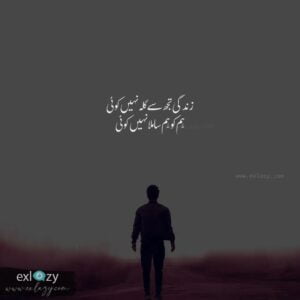 2 Line Poetry about Life