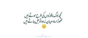 25 Funny Urdu Status for Whatsapp - Funny Quotes in Urdu