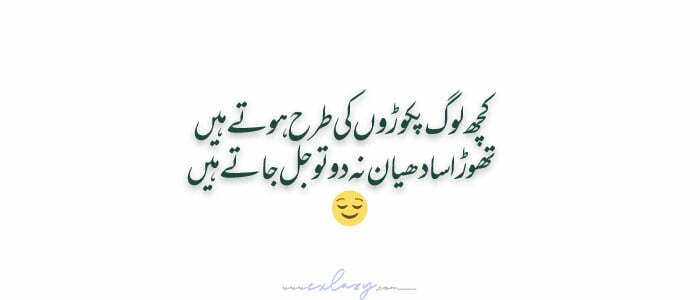 25 Funny Urdu Status For Whatsapp - Funny Quotes In Urdu - Exlazy