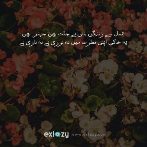 Top 10 Allama Iqbal Poetry 2 Lines in Urdu - Shayari in Urdu