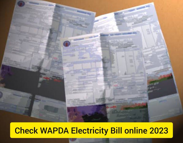 Check WAPDA Electricity Bill online 2023