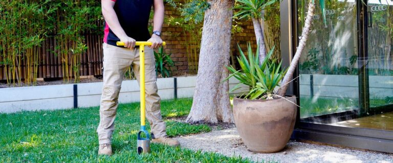 Termite Treatment: Protecting Your Home from Silent Invaders