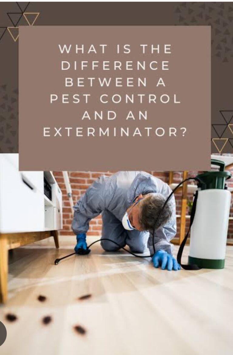 Navigating Pest Control Regulations in New Braunfels: What homeowners Need to Know