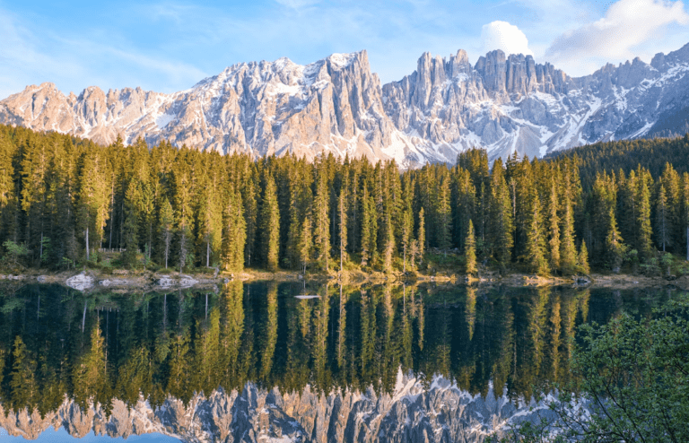 Essential Gear for Nature Lovers: Must-Haves for Exploring the Great Outdoors